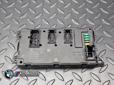 BMW 3 Series Body Control Module