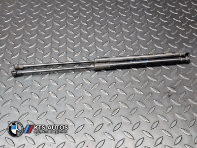 MINI Paceman Tailgate Gas Strut