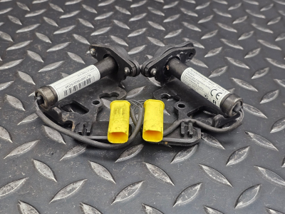 BMW X5 Left Right Bonnet Hinge Actuator Pair