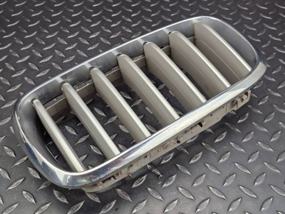 BMW X5 Front Left Kidney Grille