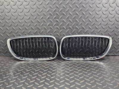 BMW 3 Series Front Bumper Kidney Grille