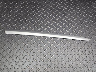 BMW 3 Series Right Roof Trim