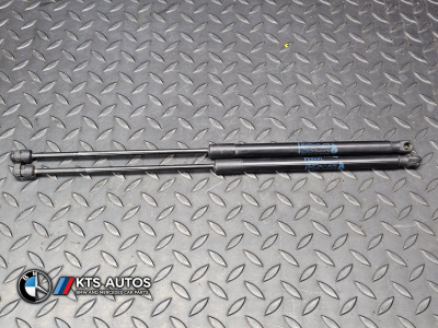 MINI Cooper Rear Tail Gate Gas Strut