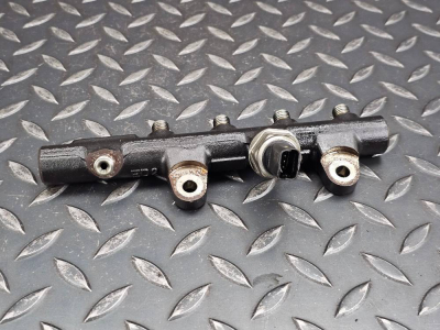 BMW 1 Series, 5 Series, 3 Series, 2 Series, 4 Series, X1, X2, X3, X4, X1, 320d, i3 Fuel Injector Rail