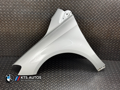 Mercedes-Benz B-Class Left Wing Fender