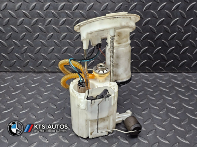 BMW 1 Series, 2 Series, 3 Series, 4 Series Intank Fuel Pump