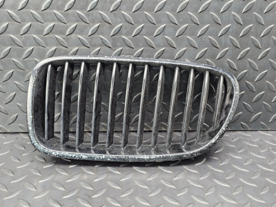 BMW 5 Series Front Left Kidney Grille