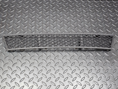 BMW 5 Series Front Lower Bumper Grille