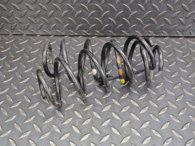 Mercedes-Benz A-Class Rear Coil Spring Set