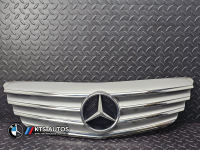 Mercedes-Benz B-Class Front Bumper Grille
