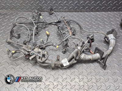 BMW 1 Series Engine wiring loom harness