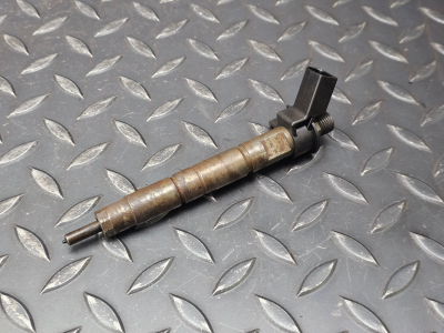 BMW 1 Series, 3 Series, 5 Series, X1, X3, 7 Series, X5, X6 Fuel Injector
