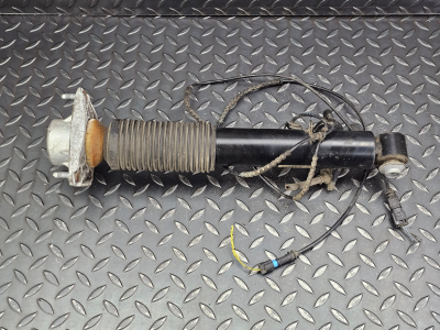 BMW X5, X6 Rear Left Shock Absorber