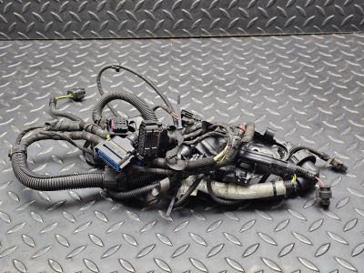 BMW 3 Series, 4 Series Gearbox Wiring Loom