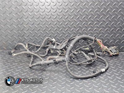 BMW 1 Series, 3 Series, 4 Series Wiring Harness Engine