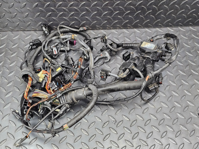 BMW 5 Series Engine Wiring Harness