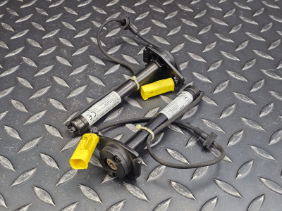 Mercedes-Benz C-Class Left Right Bonnet Hinge Actuator Pair